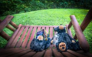 Smoky Mtn Cabin Hot Tub, Game Room & Views - 4