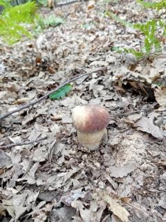 Residence Giardino - 3