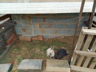 Recanto Beija-flor - 2