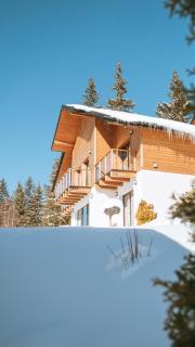 Gogodz Chalet Resort - 4