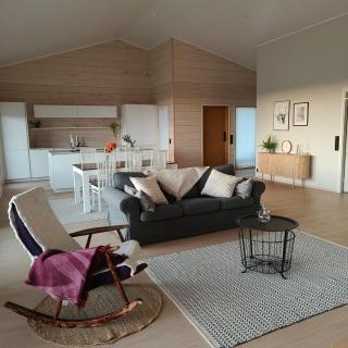 Brand new log villa - 3