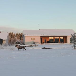 Brand new log villa - 1