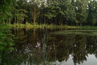 Fewo Stricker 21 - 8