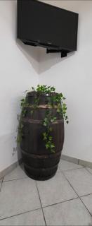 Graziella Wohnung In Capo Vaticano - 3