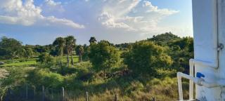 Arunachala Gästehaus - Nature, Silence & Sacred Space - 3
