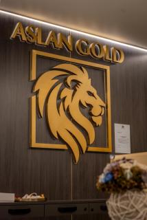 Aslan Gold Hotel - 8