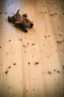 Ferienwohnung Oberförsterei Sosa I - 7