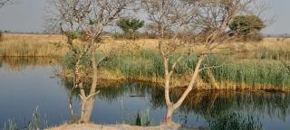 Marrow camping site - 3