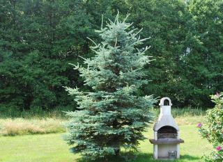 Fewo Stricker 13 - 3