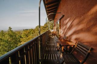 Charming Villa In The Eastern Hills Of Friuli - 1