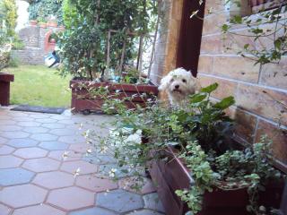 Apartment Maruška - 6