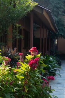 Santih Pala by Jungle Adventure World Hotel - 2