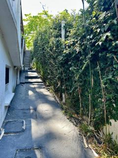 Casa entera, 3 dormitorios, diseño y jardín con parrillero - 6