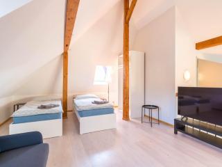 Thun Center Apartment Close to Lake and Shops - 1