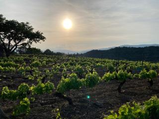 'Casa Vinç' Large Townhouse with Garden - 9