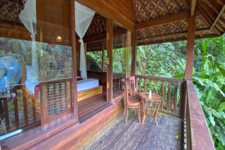 Bali Jungle Resort - 1