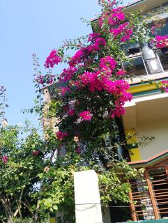 Swpnaneer home stay - 3