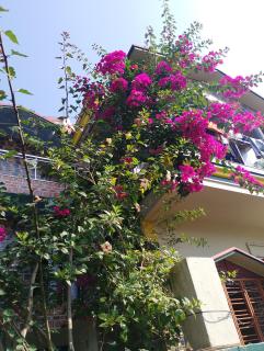 Swpnaneer home stay - 4