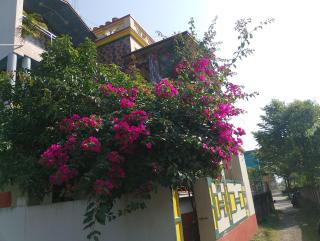 Swpnaneer home stay - 5