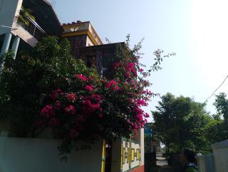 Swpnaneer home stay - 6