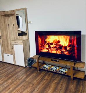 Dreibettzimmer 1 Home - Suhitha´s Gästehaus Villingen-Schwenningen - 7