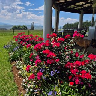 Dragons Landing Guest House - 8