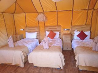 Dune's treasure, luxury camp - 0