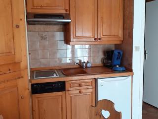 Studio cabine 4 pers exposé Est, animaux acceptés, près des pistes! - FR-1-263-66 - 4