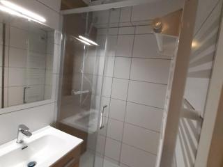 Studio cabine 4 pers exposé Est, animaux acceptés, près des pistes! - FR-1-263-66 - 2