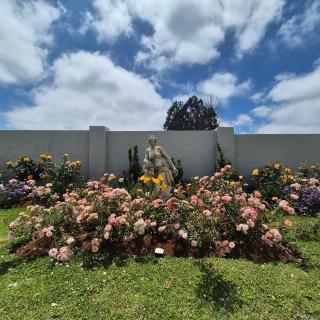 Dragons Landing Guest House - 6