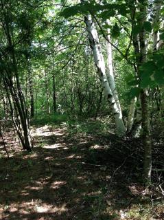 Magical Off-Grid Cottage Rental for Weekend Getaways in Upstate NY - 6