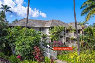 Grand Champions 53 condo - 3