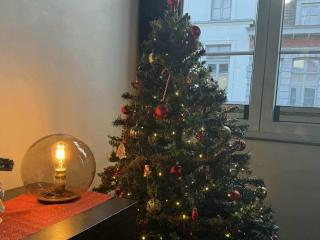 Au bât Tournai Appart - 8