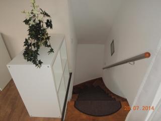 Ferienhaus In Ueckermünde Mit Garten - 4