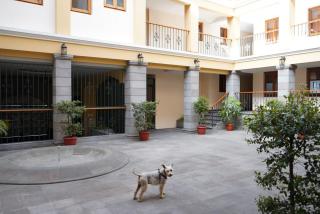 Unleash Charm & Comfort Oldtown Quito Best Location! - 6