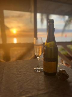 Sunbloom Beachfront Hotel and Restaurant Zambales - 9