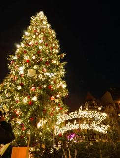 Gites Spa Strasbourg - Villa Ours - SPA Privé, Sauna, Borne d'arcade, Babyfoot - 6