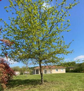 Maison vacances - cure thermale - 2