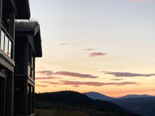 Apartment in Gol Skisenter - 9