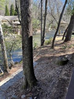 Rustic Log Cabin Rental near Chattahoochee National Forest, Georgia - 7
