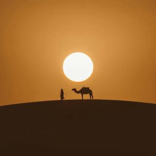 Under 1000 Stars Camp - 1