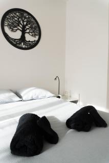 Appartement confort à Rouen - 7