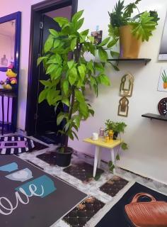 Coze Suite Nile River - 1