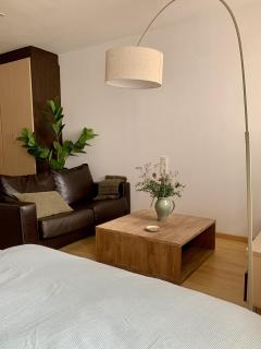 Apartamentos Marques de Teverga , Oviedo centro - 7