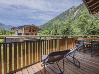 Appartement moderne avec terrasse, vue sur Mont Blanc - FR-1-343-265 - 1