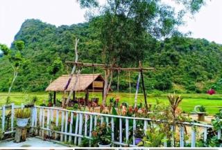 Phong Nha Rice Field Homestay - 0
