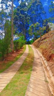 Chalé da Mantiqueira SFX , Pet friendly - 2