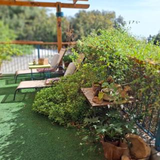 קטלב kta-love - 6