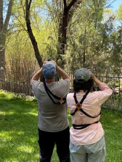 Create Lasting Memories: Family-Friendly Rustic Cabin in New Mexico's Backcountry - 9