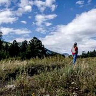 Create Lasting Memories: Family-Friendly Rustic Cabin in New Mexico's Backcountry - 7